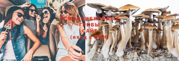 прущие крисы Абдулино