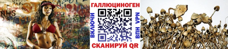 hydra ссылка где можно купить Эртиль Галлюциногенные грибы Psilocybine cubensis